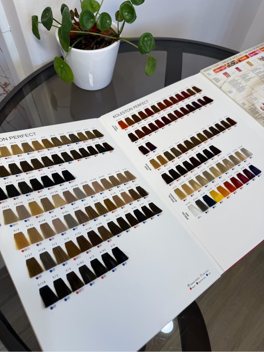 WELLA MINI SWATCH BOOK - Picture 5 of 7